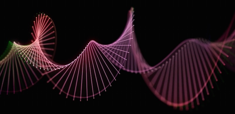 Plexus DNA Strand